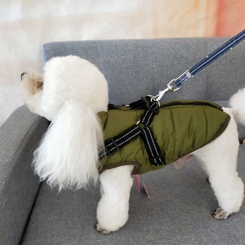 MYVIPCART™ Pet Dog jacket With Harness